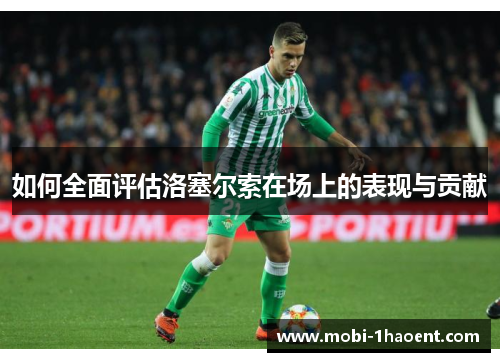 如何全面评估洛塞尔索在场上的表现与贡献