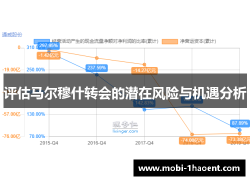 评估马尔穆什转会的潜在风险与机遇分析 评估马尔穆什转会的潜在风险与机遇分析